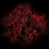 Bouquette of Corrupt Poinsettias